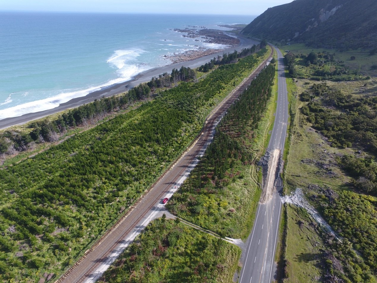 Surface rupture along the Papatea Fault. Photo by Julian Thomson