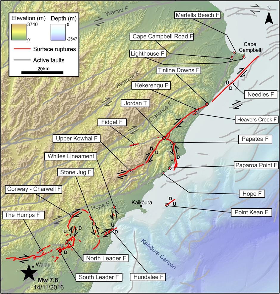 A detailed map of active faults in the northeast South Island, from Stirling et al. (2017) that shows the locations of faults that ruptured to the ground surface.