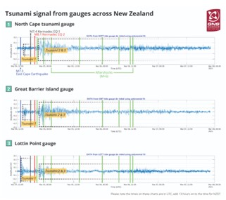 Tsunami signal from gauges across New Zealand