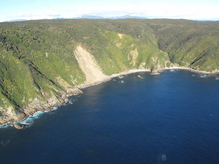 Small landslide from Dusky Sound earthquake, July 2009. [GNS Science]