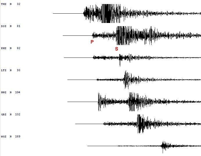 Seismic traces showing P and S arrivals.