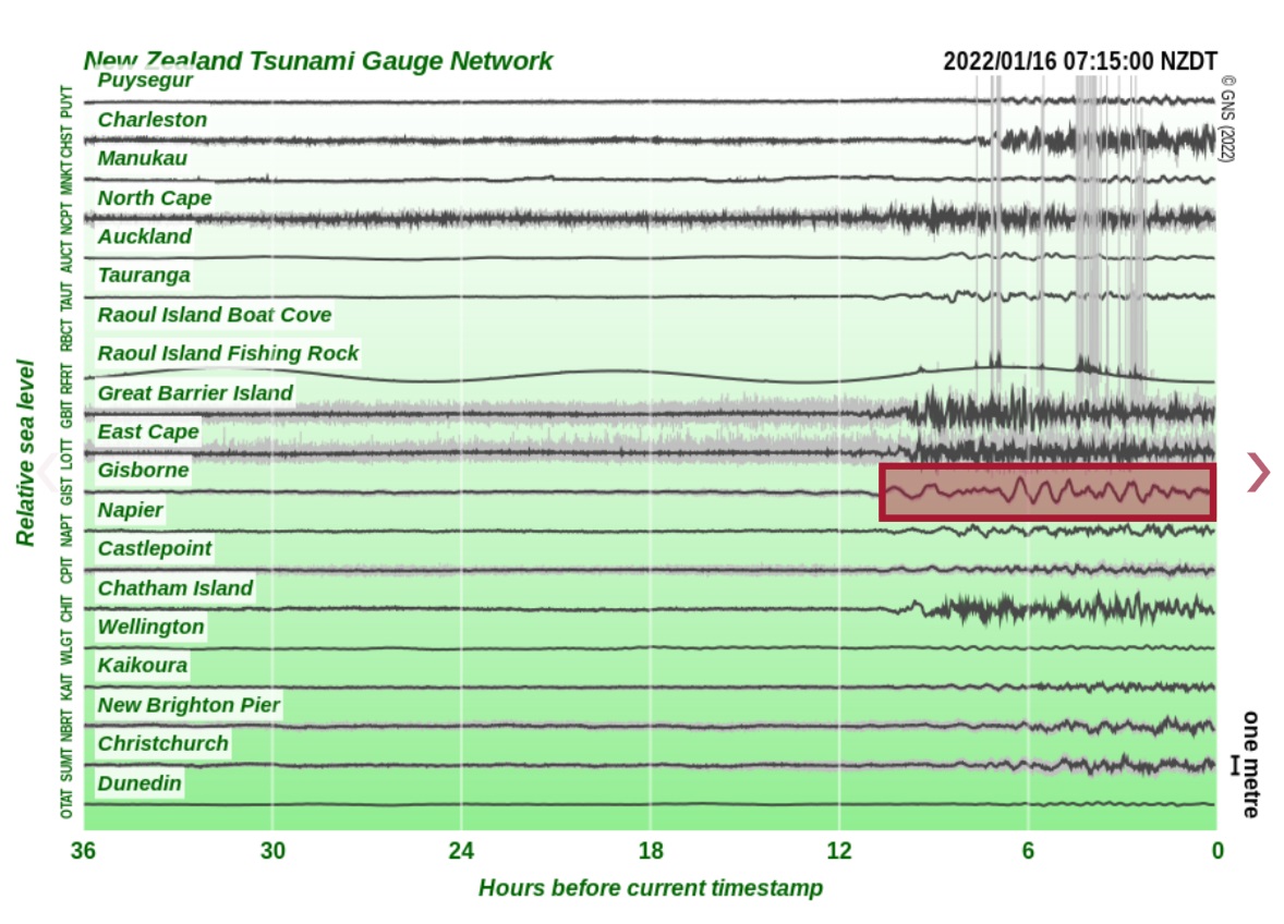 Figure 2: a train of longer period, larger amplitude waves marks tsunami arrivals at the Gisborne coastal tsunami gauge.