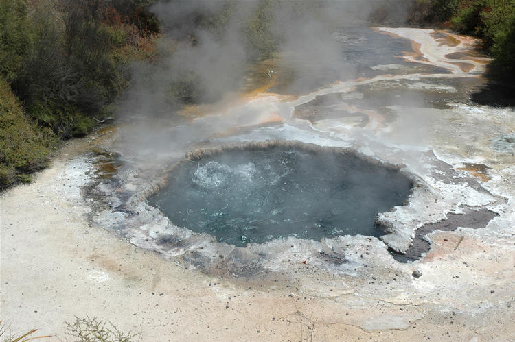 Boiling spring, Rotorua.